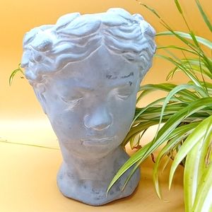 Roma Cement Planter Pot